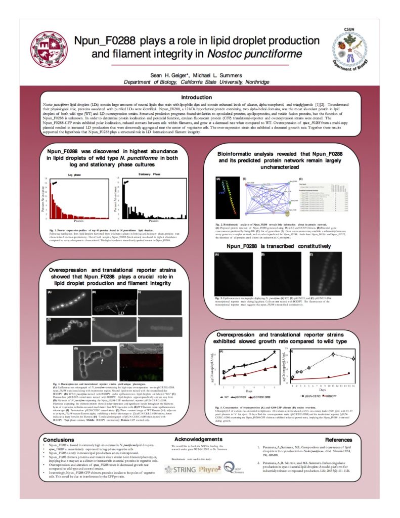 Presented at the 12th Annual Workshop on Cyanobacteria. Tempe, AZ. May 19-22, 2016